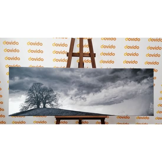 Obraz stromy na vrchole kopca v čiernobielom prevedení