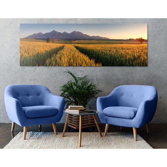 Obraz nekonečné polia