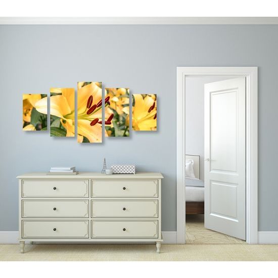 5-dielny obraz nežná žltá ľalia