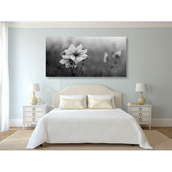 Obraz kvitnúce lúčne kvety v čiernobielom prevedení