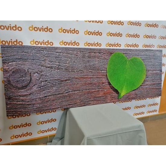 Obraz list ako znak lásky