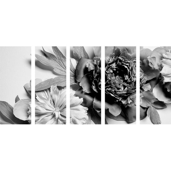 5-dielny obraz pôvabné ružové pivónie v čiernobielom prevedení