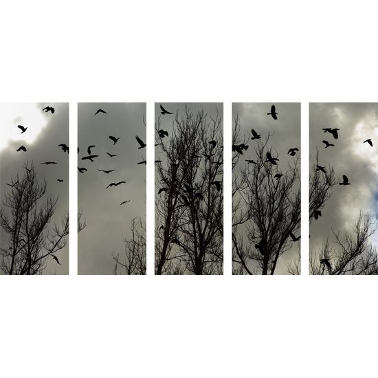 5-dielny obraz vrany pred búrkou