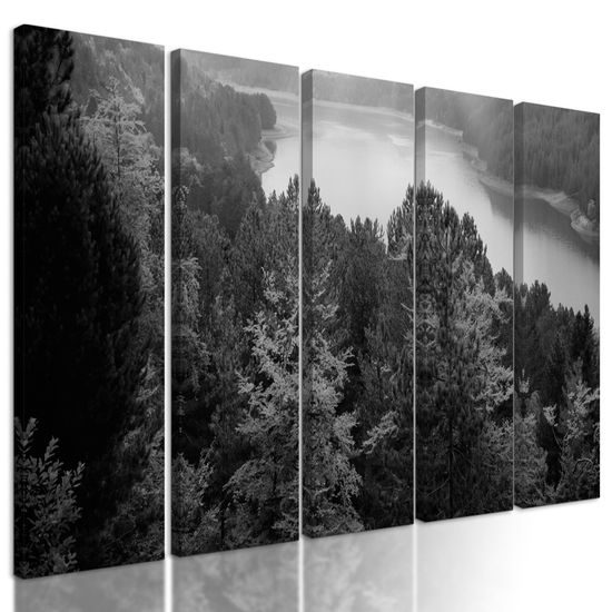 5-dielny obraz prekrásny pohľad na letnú prírodu v čiernobielom prevedení