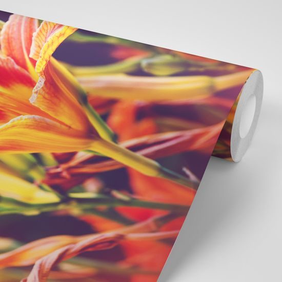 Nádherná samolepiaca fototapeta oranžové kvety