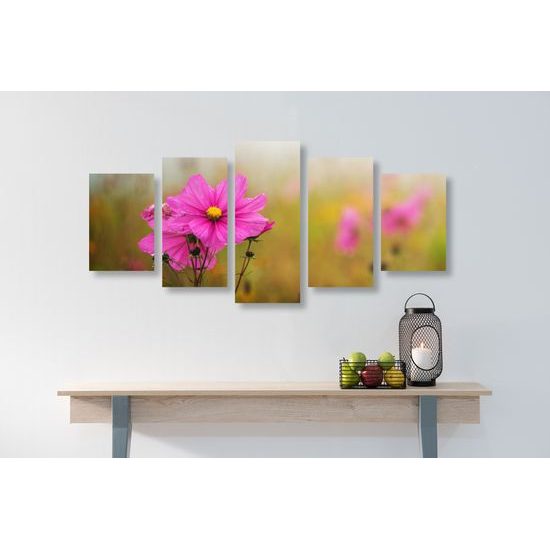 5-dielny obraz kvitnúce lúčne kvety