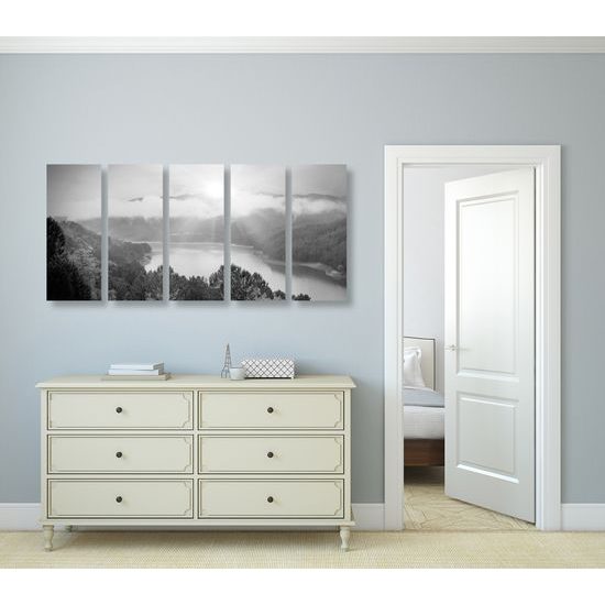 5-dielny obraz nádherný pohľad na letnú prírodu v čiernobielom prevedení