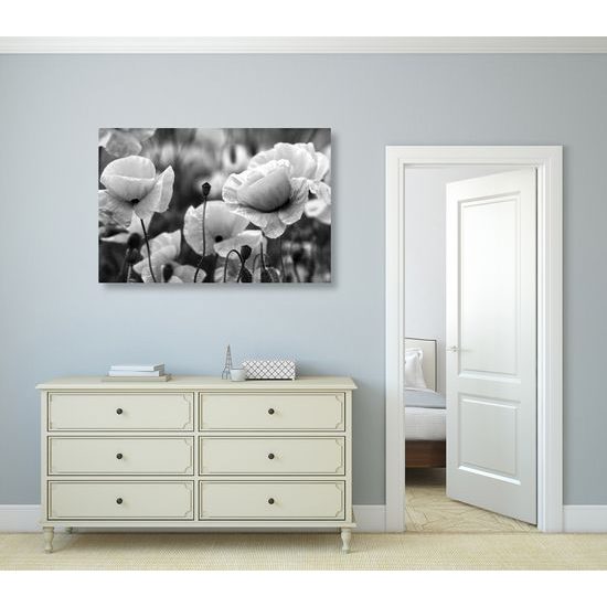 Obraz jedinečné divé maky v čiernobielom prevedení