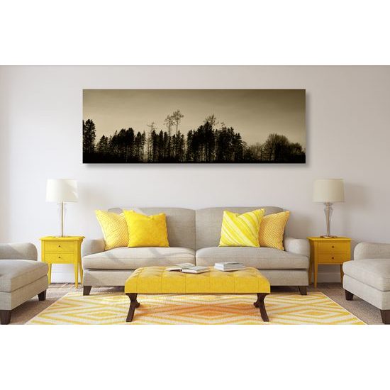 Obraz les pri západe slnka v sépiovom prevedení