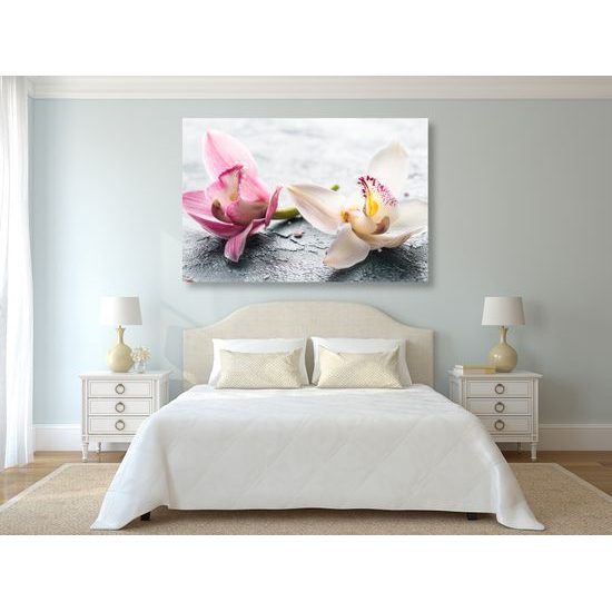 Obraz nádherné kvety orchidey