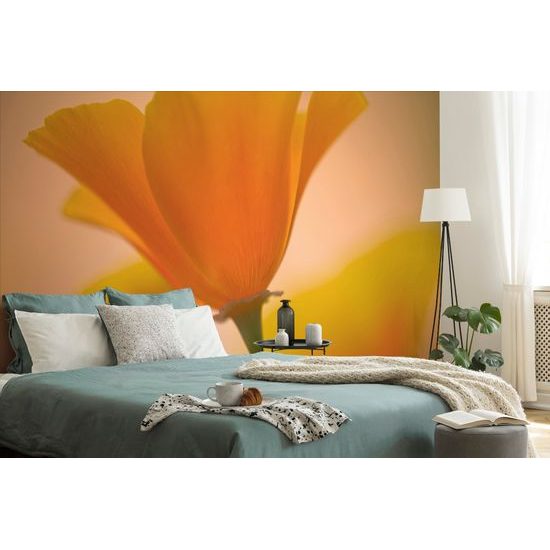 Samolepiaca fototapeta pôvabná žltá kvetina