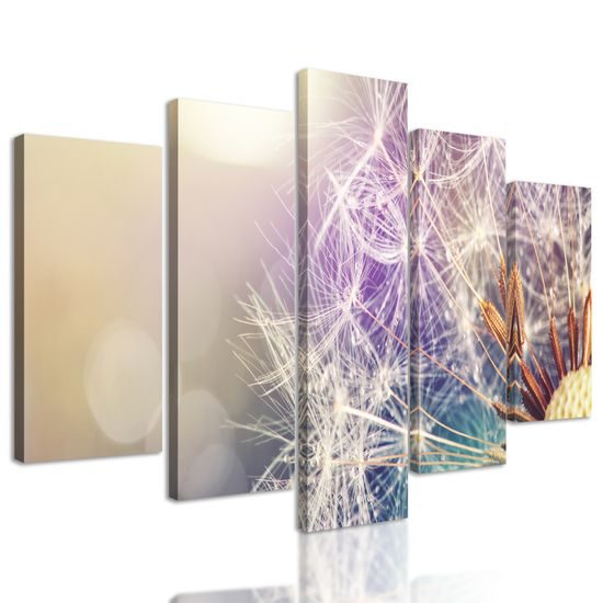 5-dielny obraz krása rozkvitnutej púpavy