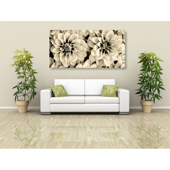 Obraz jemné rozkvitnuté dálie v sépiovom prevedení