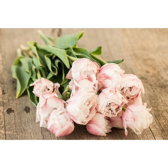 Fototapeta okúzľujúca kytica kvetín