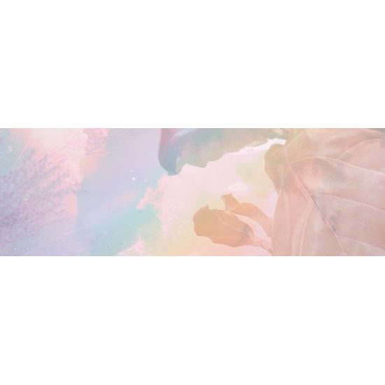 Obraz magické listy na pokojnej vode