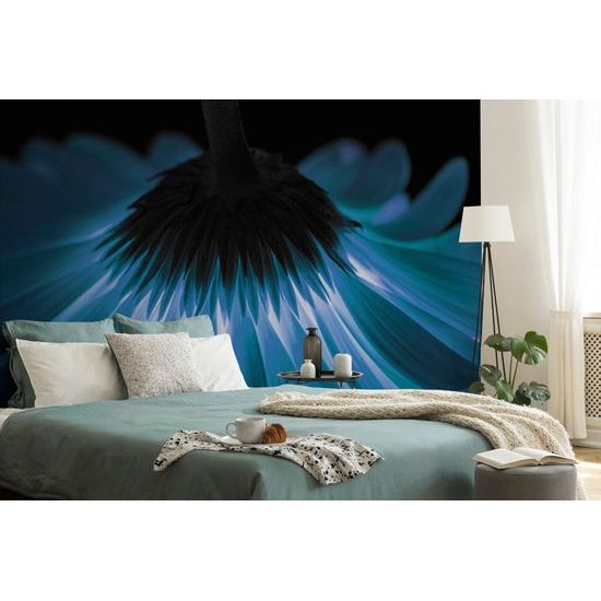 Neobyčajná fototapeta tajuplná gerbera