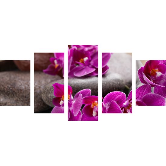 5-dielny obraz Feng Shui zátišie s orchideou