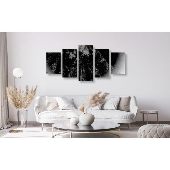 5-dielny obraz abstrakcia tropického lesa v čiernobielom prevedení