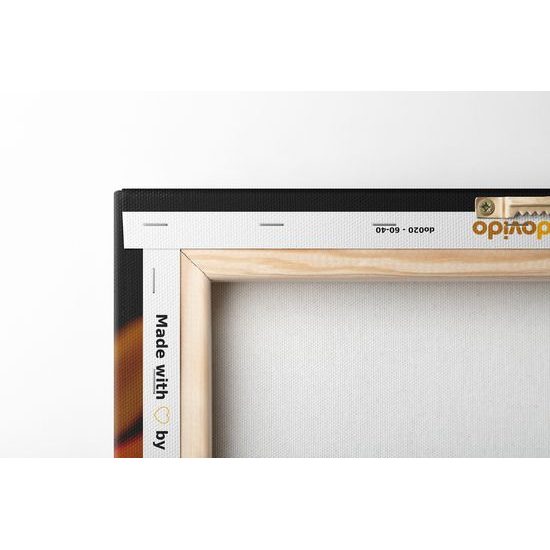 Obraz žiarivá gerbera