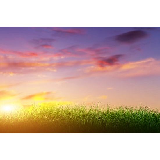 Samolepiaca tapeta lúče slnka nad lúkou