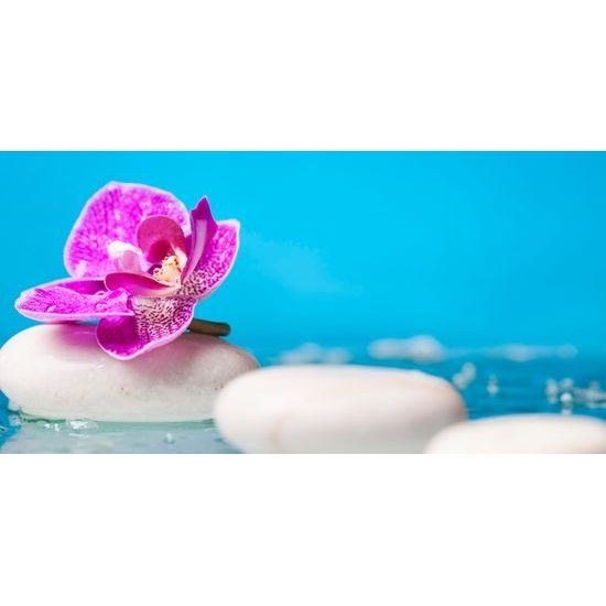 Obraz zaujímavé biele Zen kamene a kvet orchidei