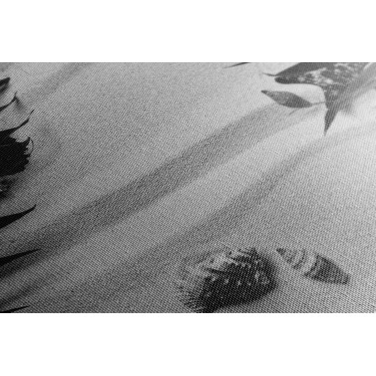Obraz čiernobiele zákutie pláže