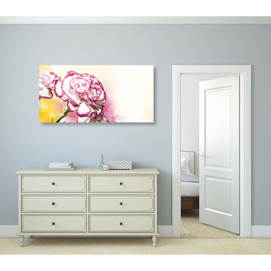 Obraz nádherný karafiát