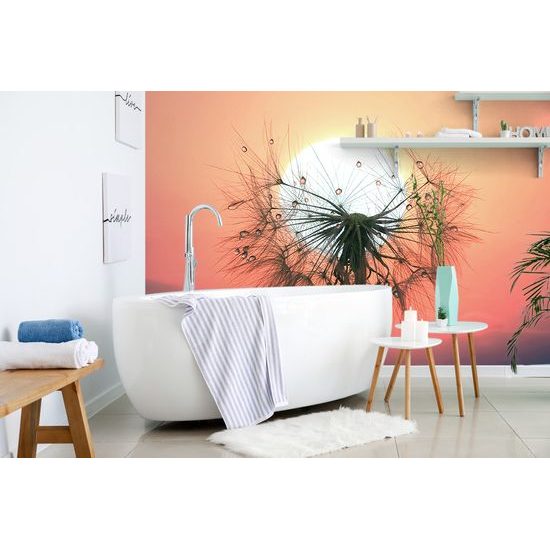 Samolepiaca fototapeta púpava so zapadajúcim slnkom