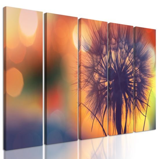 5-dielny obraz púpava pri západe slnka