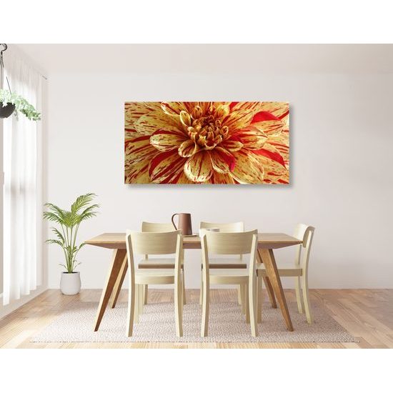 Obraz ohromná dália