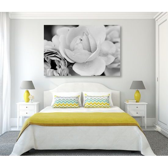 Obraz pôvabné ruže v čiernobielom prevedení