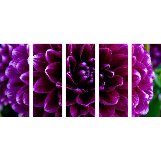 5-dielny obraz ohromný purpurový kvet