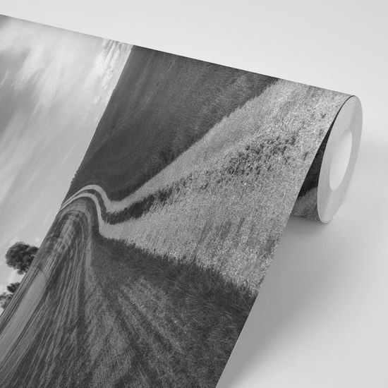 Samolepiaca fototapeta cesta jarnou krajinou v čiernobielom prevedení