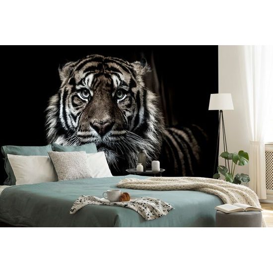 Samolepiaca fototapeta dravý pohľad tigra