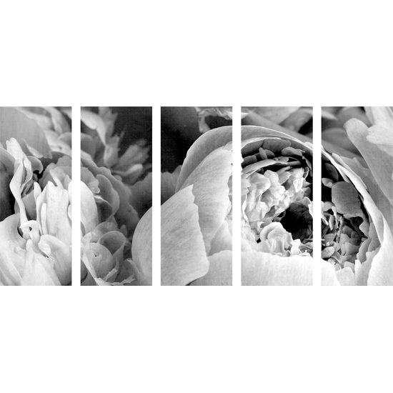 5-dielny obraz detail na kvety v čiernobielom prevedení