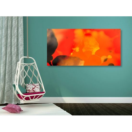 Obraz list lipy s nádherným ohnivým pozadím