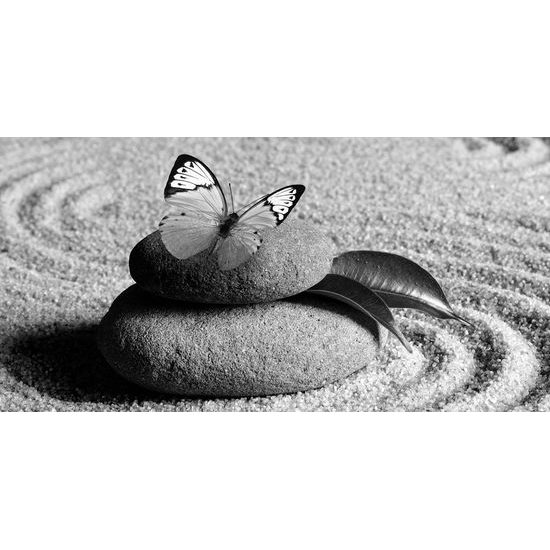 Obraz čiernobiely motýľ vo wellness zátiší
