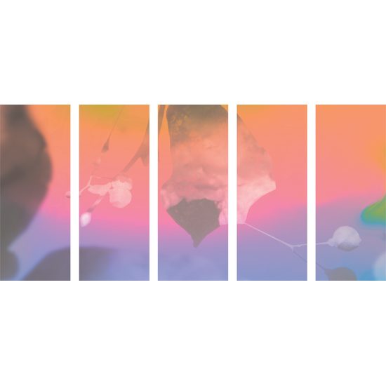5-dielny obraz nádherný list v pastelových farbách