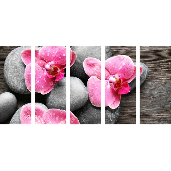 5-dielny obraz kvety orchidei na drevenom pozadí