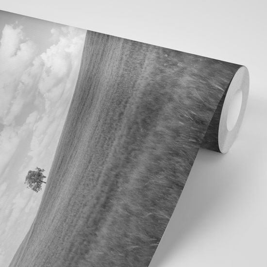 Samolepiaca fototapeta nádherná čiernobiela lúka