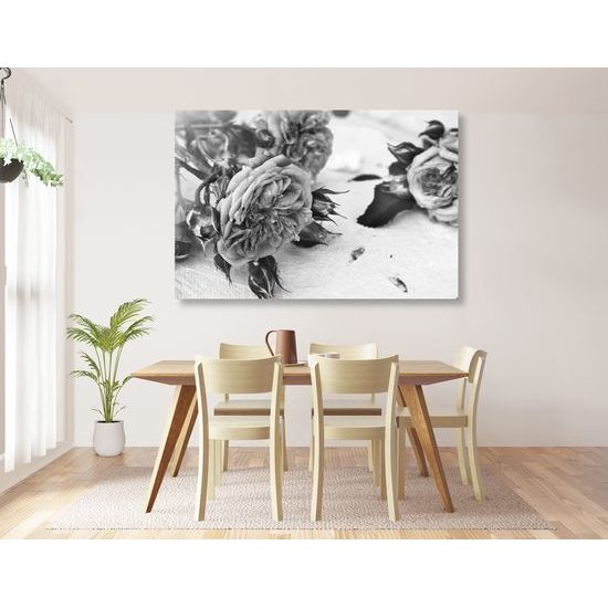 Obraz jemnosť ruží v čiernobielom prevedení