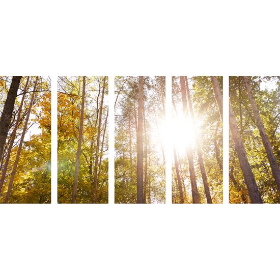 5-dielny obraz slnko v korunách stromov