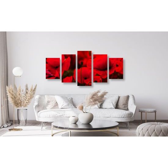 5-dielny obraz jedinečné divé maky