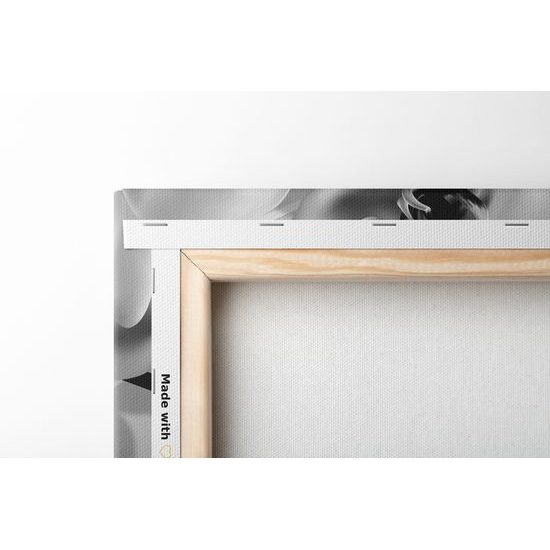 Obraz jemné znázornenie orchidei v čiernobielom prevedení