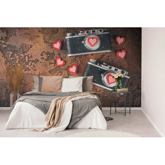 Samolepiaca fototapeta retro fotoaparáty so srdiečkami