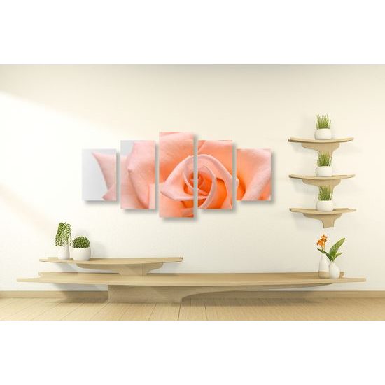5-dielny obraz precízny detail na oranžovú ružu