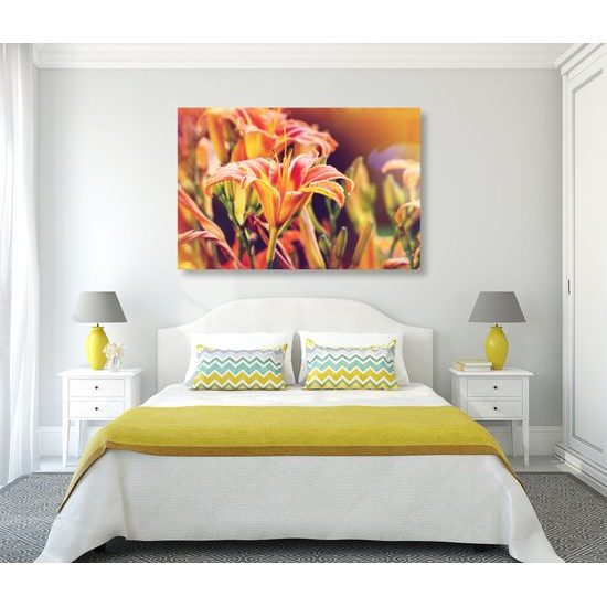 Obraz ľalia v slnečnom svite