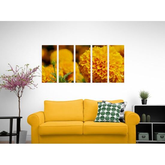 5-dielny obraz oranžový nechtík