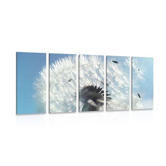 5-dielny obraz púpava v rozkvete