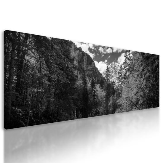 Obraz krásy jesennej prírody v čiernobielom prevedení